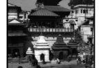 np09_0809_11