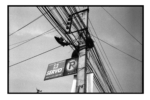 np10_0804_06