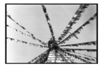 np10_0804_17
