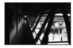 np12_0811_05