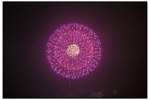 odaibahanabi_20100814_012
