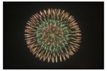 odaibahanabi_20100814_013