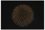 odaibahanabi_20100814_014