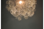 odaibahanabi_20100814_043