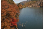 oyama-motorbike_20101120_031