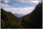 r0010499