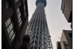 sumidagawa_muf_5297