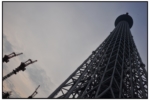 sumidagawa_muf_5299