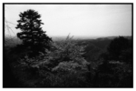 takaosan_j71_08