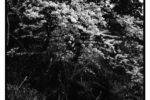 takaosan_j71_09