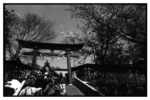 takaosan_j71_11
