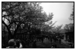 takaosan_j71_13