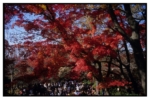 takaosan_j79_16