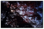 takaosan_j79_19