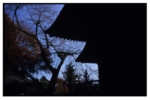 takaosan_j79_22