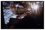 takaosan_j79_24