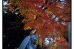 takaosan_j79_34