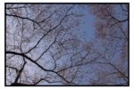 titech_R0014130