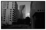 tokyobay_j77_15