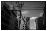 tokyobay_j77_21