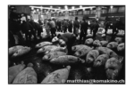 tsukiji_j06-13