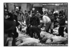 tsukiji_j06-17
