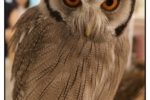 R0011020