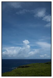 L1003456