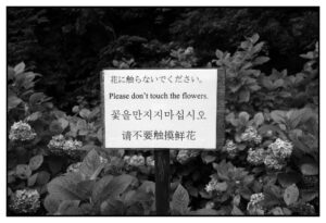 R0000059