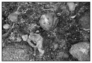 R0018836
